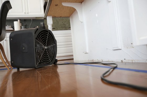 5 Things to Check After Water Damage