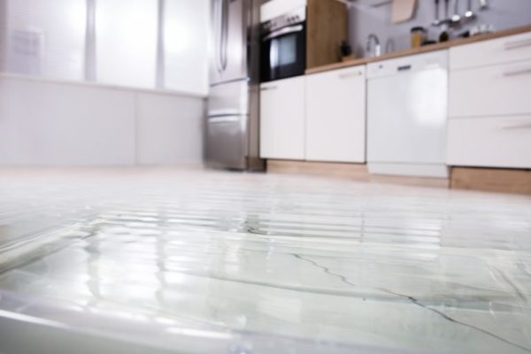 Water Damage Restoration Processes