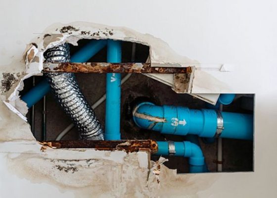 Annual check ups on your plumbing system.