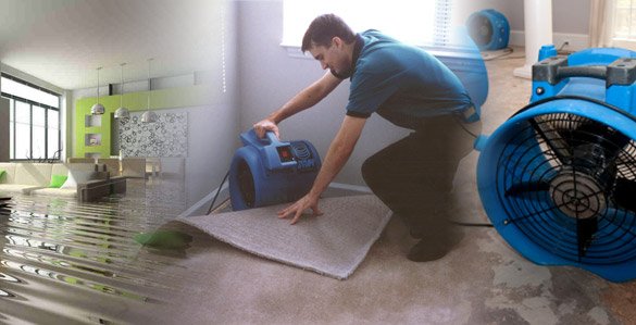 Let Professionals Cleanup and Restore Your Water Damage.