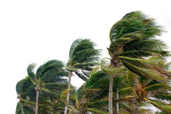 Roof Damage Caused by High Winds