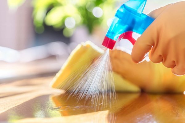 Professional Cleaning Services Benefits