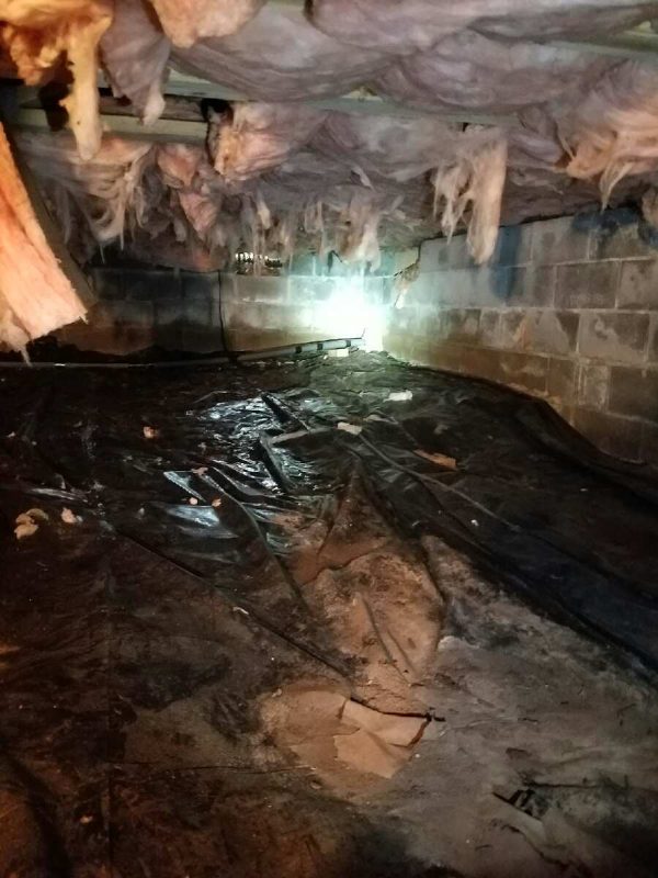 basement water removal in Raleigh NC