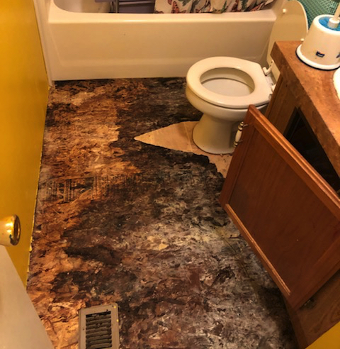 Sewage Damage Cleanup